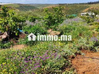 Ferme à la vente à Sidi Allal El Bahraoui.
Surface de 7000 m² - Terrain à vendre