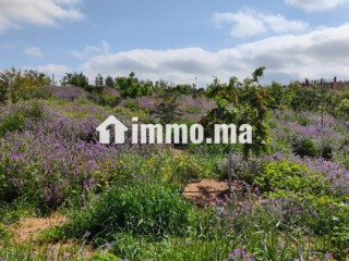 Ferme à la vente à Sidi Allal El Bahraoui.
Surface de 7000 m² - Terrain à vendre