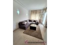 racine-joli-studio-meuble-a-louer-50-m2-small-2