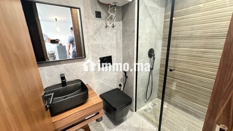 appartement-en-location-a-gauthier-1-chambre-bien-meuble-big-5