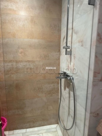 appartement-rdc-lumineux-avec-terrasse-et-parking-big-5