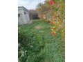 villa-940m-souissi-olm-small-3
