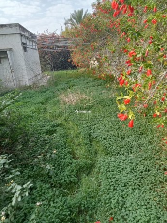 villa-940m-souissi-olm-big-3