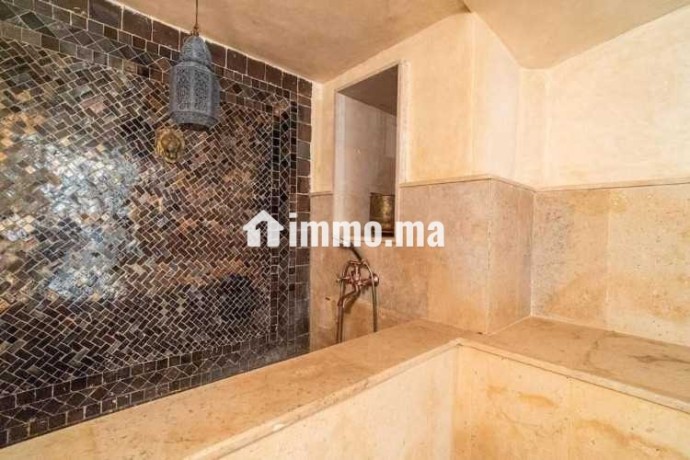 villa-design-a-la-palmeraie-marrakech-big-3