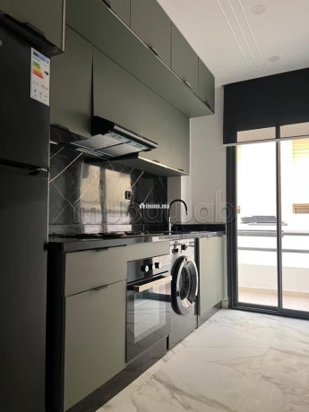 tres-bel-appartement-neuf-en-location-1-piece-grand-terrasse-bien-meuble-big-4