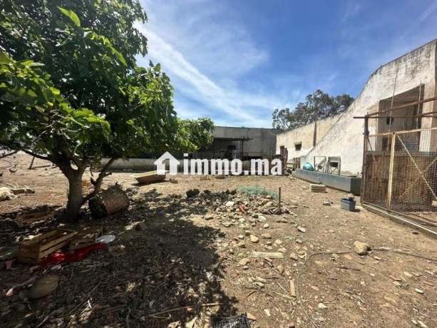 ferme-titre-de-3800m-a-vendre-a-hakama-big-3