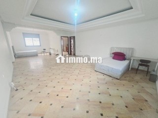 appartement-225m-avec-grande-terrasse