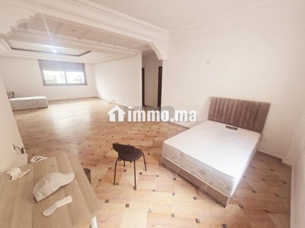 appartement-225m-avec-grande-terrasse-big-1