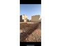 ard-mhfth-llbyaa-lbnaaa-fyla-hy-alzyton-small-4