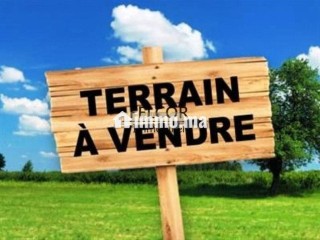 terrain-250-m2-zhor-targa