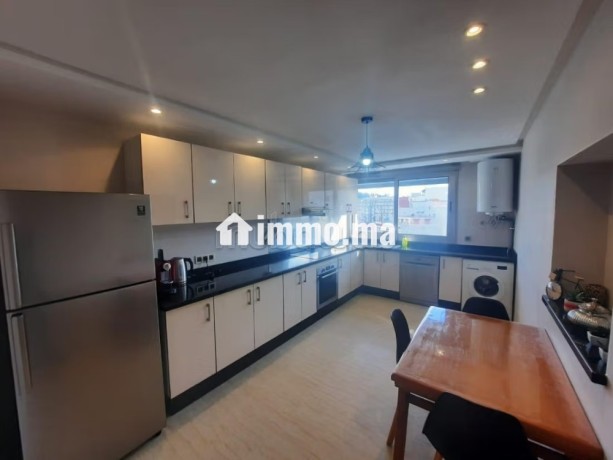 appartement-meuble-a-louer-big-18
