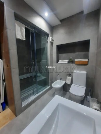 appartement-meuble-a-louer-big-5