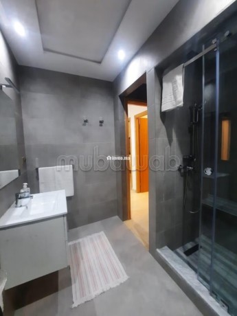 appartement-meuble-a-louer-big-6