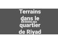 terrains-dans-le-quartier-de-riyad-small-0