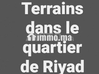 terrains-dans-le-quartier-de-riyad