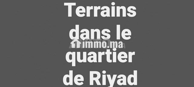 terrains-dans-le-quartier-de-riyad-big-0