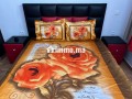 location-dun-appartement-a-mhamid-3-grandes-pieces-salon-traditionnel-et-porte-blindee-small-3