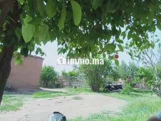 vente-ferme-avec-petite-villa