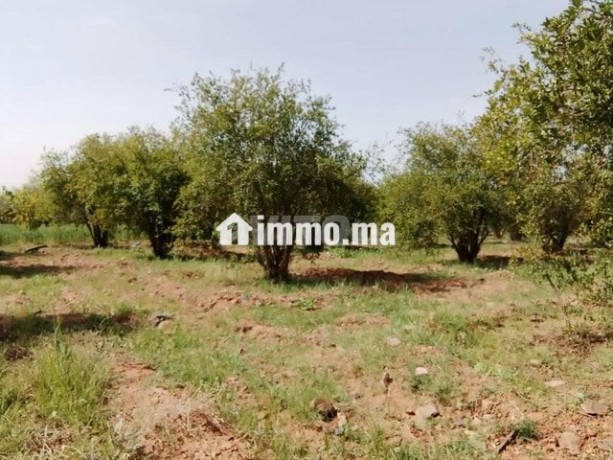 vente-ferme-avec-petite-villa-big-1