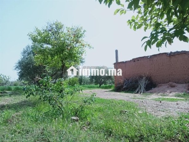 vente-ferme-avec-petite-villa-big-2