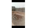 villa-500-m2-semi-fini-route-de-souihla-small-4