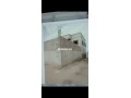 villa-500-m2-semi-fini-route-de-souihla-small-5
