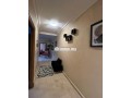 appartement-a-louer-70-m2-a-casablanca-small-4