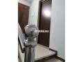 shk-mfrosh-llagar-alyomy-hy-almtar-alnathor-small-4