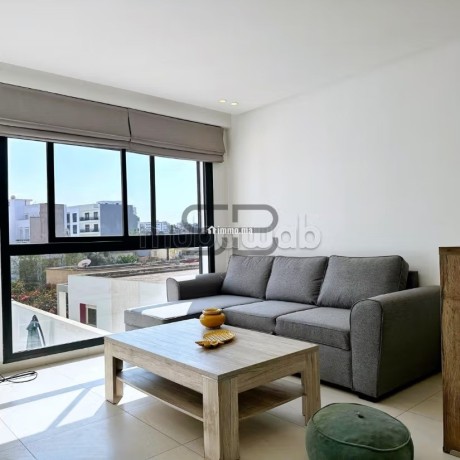 beau-studio-a-la-location-sur-palmier-big-0