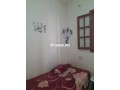 shk-mfrosh-llkraaa-alyomy-fy-almhmdy-small-5