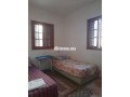 shk-mfrosh-llkraaa-alyomy-fy-almhmdy-small-6