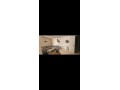 appartement-propre-au-coeur-agadir-small-1