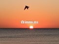 complexe-ferme-a-400-m-de-la-plage-small-1
