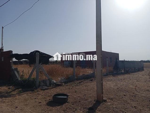 أرض فلاحية مع منزل مجهز - Vente Immobilier - Berrechid - photo 1