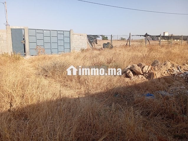 أرض فلاحية مع منزل مجهز - Vente Immobilier - Berrechid - photo 2