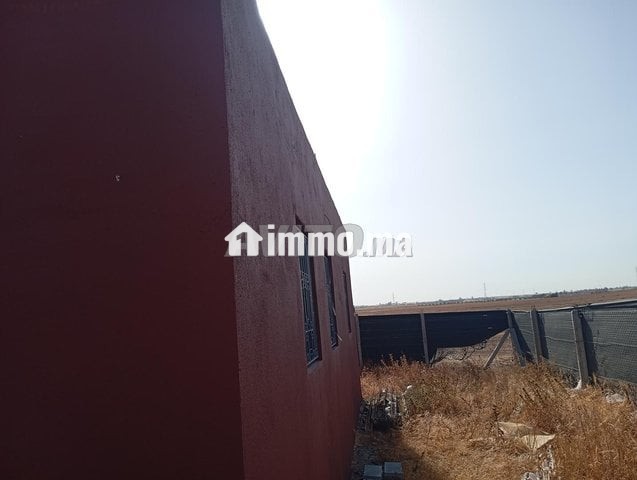 أرض فلاحية مع منزل مجهز - Vente Immobilier - Berrechid - photo 4