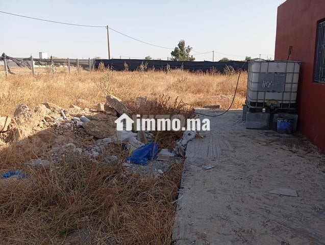 أرض فلاحية مع منزل مجهز - Vente Immobilier - Berrechid - photo 5