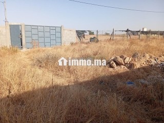 أرض فلاحية مع منزل مجهز - Terrain à vendre - Berrechid