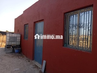 أرض فلاحية مع منزل مجهز - Terrain à vendre - Berrechid