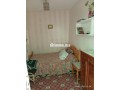 shk-llkraaa-small-3
