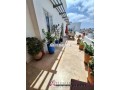 racine-bel-appt-meuble-avec-terrasse-a-louer-small-3