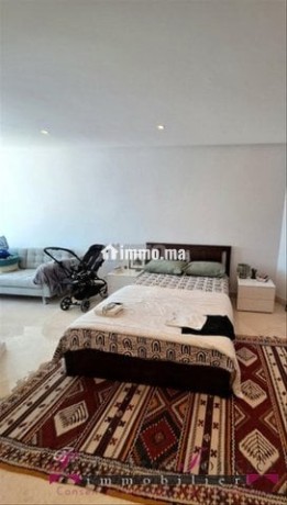 racine-bel-appt-meuble-avec-terrasse-a-louer-big-9