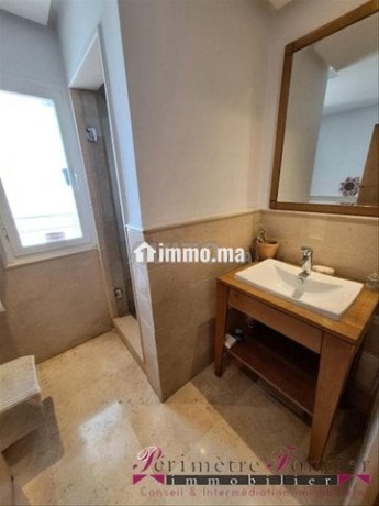 racine-bel-appt-meuble-avec-terrasse-a-louer-big-10