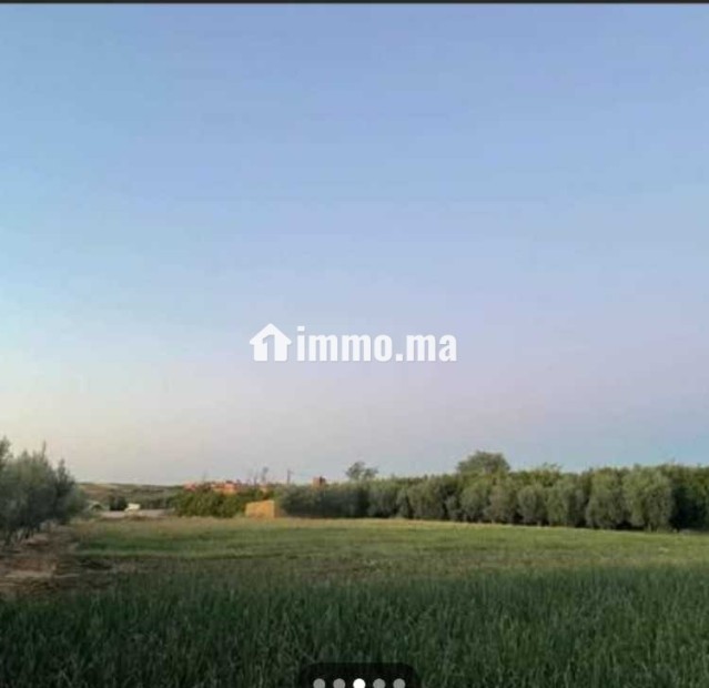 فيرما نواحي الحاج قدور - Vente Immobilier - Meknes - photo 2