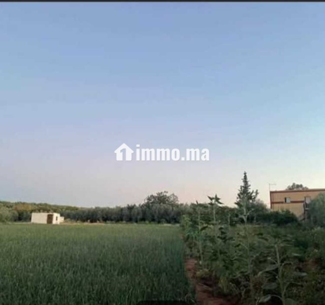 فيرما نواحي الحاج قدور - Vente Immobilier - Meknes - photo 3