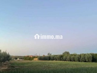 فيرما نواحي الحاج قدور - Terrain à vendre - Meknes