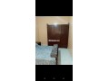 shk-balsoyr-mghz-llkraaa-alyomy-small-1