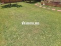 villa-a-vendre-hay-raid-small-7