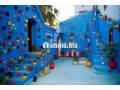 shkk-mghz-mtl-aal-algbal-llaygar-alyomy-shfshaon-small-0