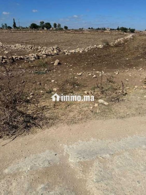 أرض للبيع بجماعة أولاد حمدان - Vente Immobilier - Casablanca - photo 1